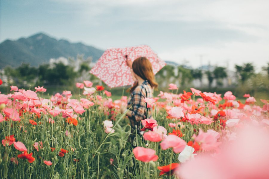 [여행및스냅] 새 폴더 (3)