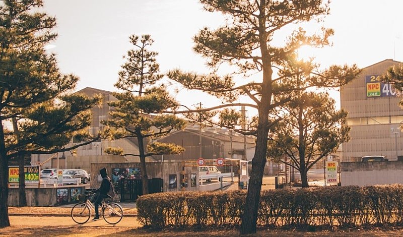 [여행및스냅] 새 폴더 2