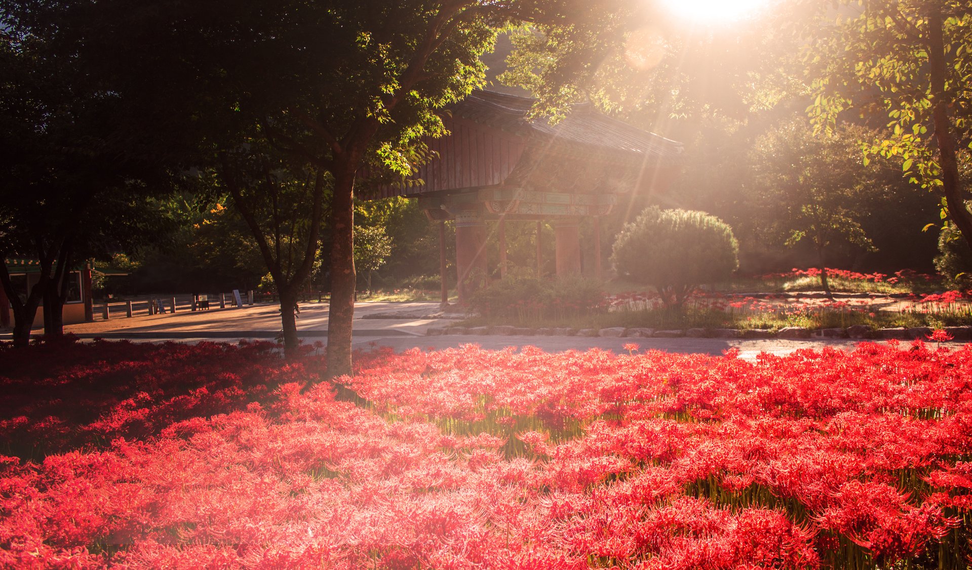 [여행및스냅] 새 폴더 - 복사본 (2)