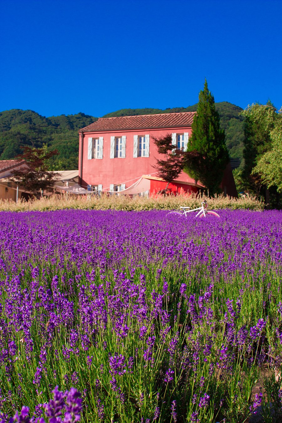 [여행및스냅] 새 폴더 - 복사본 (4)