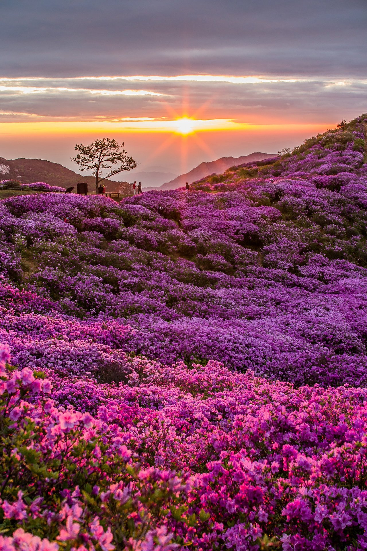 [여행및스냅] 새 폴더 (2) - 복사본