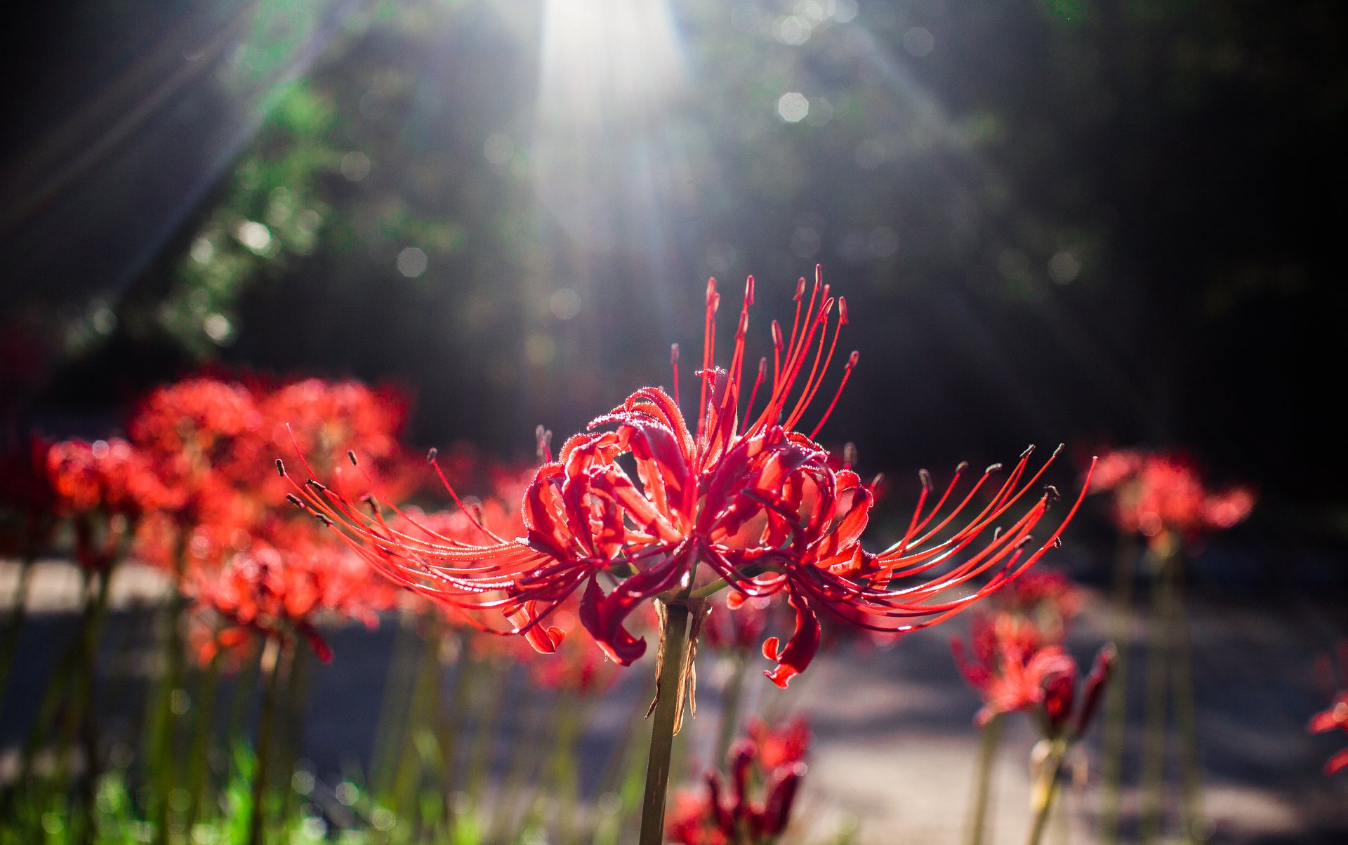 [여행및스냅] 새 폴더 - 복사본 (2) 3