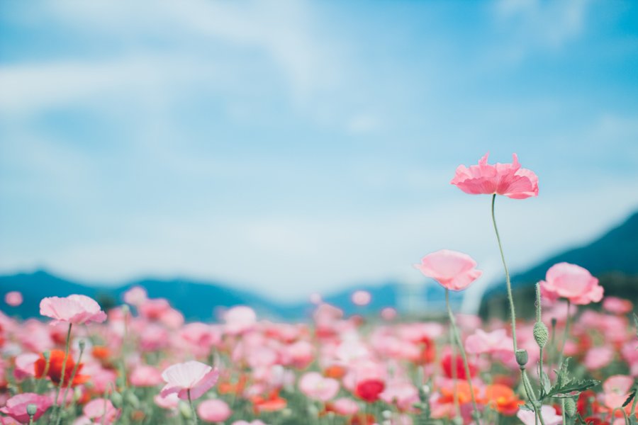 [여행및스냅] 새 폴더 (3) 3