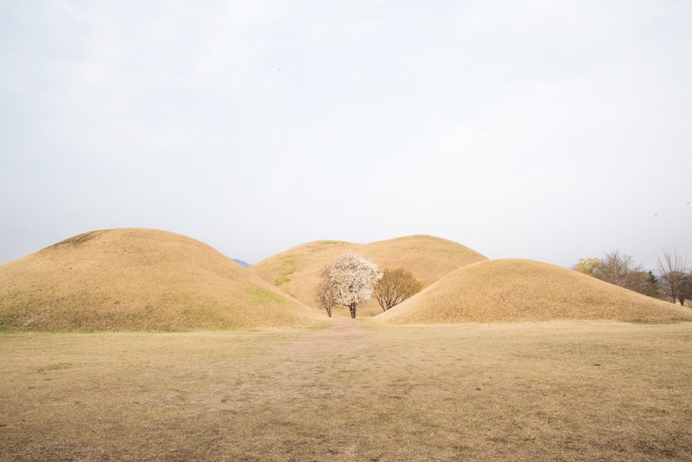 [여행및스냅] 새 폴더 - 복사본 2