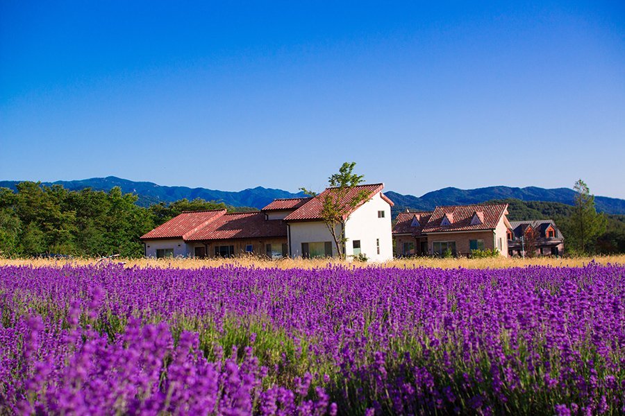 [여행및스냅] 새 폴더 - 복사본 (4) 2