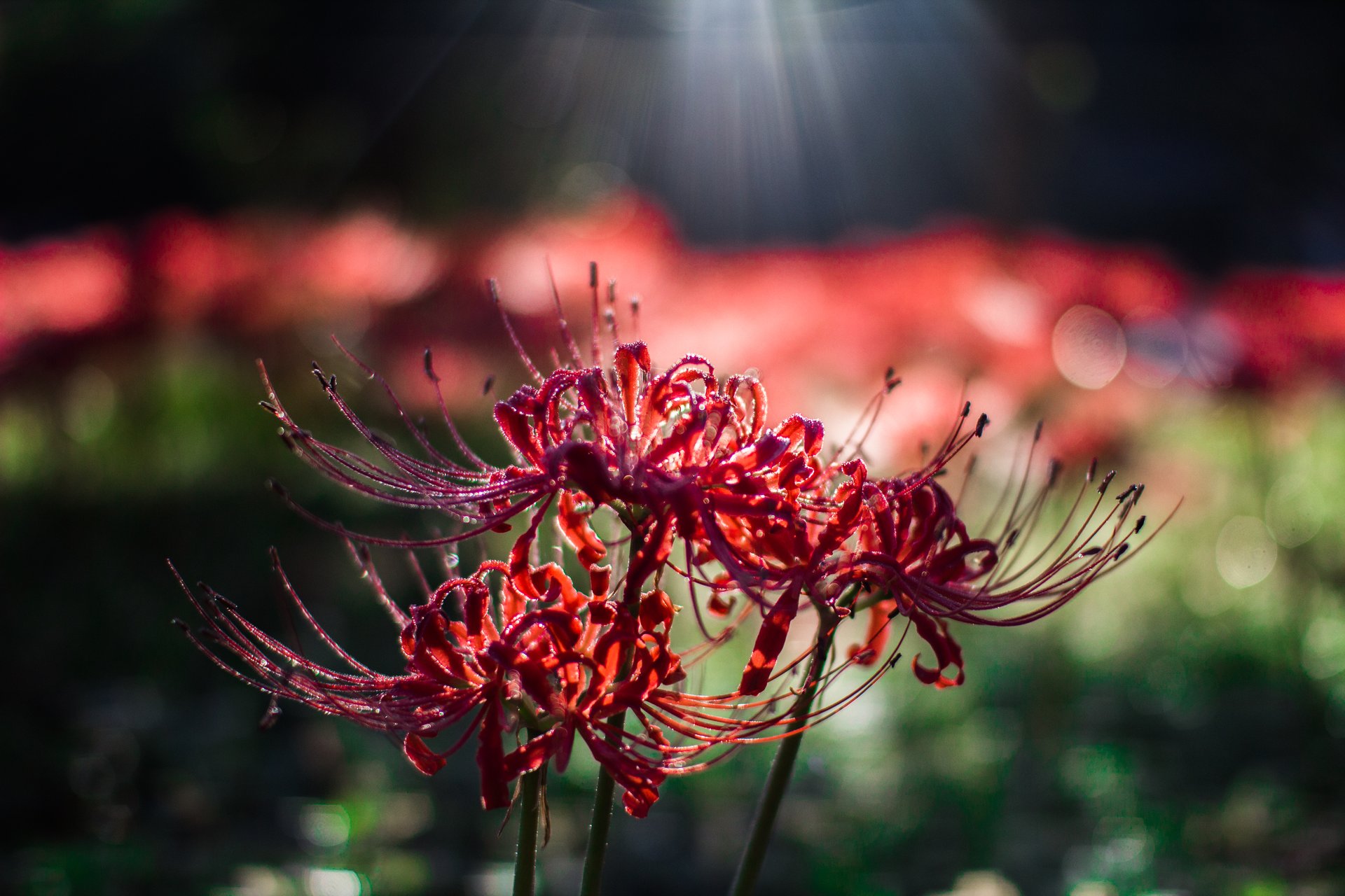 [여행및스냅] 새 폴더 - 복사본 (2) 2